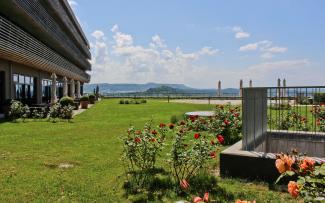 Roof garden with lawn and roses